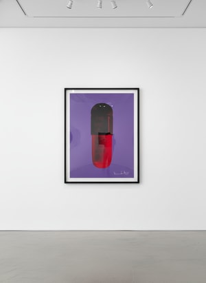 Damien Hirst - The Cure (Papal Purple/Burgundy/Blood Orange)