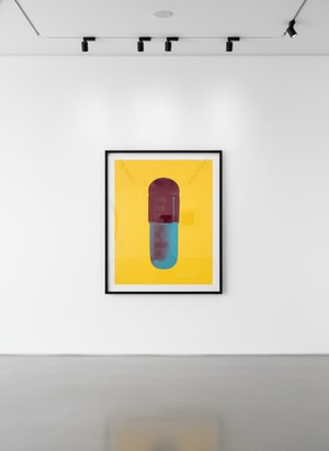 Damien Hirst - The Cure (Sunflower Yellow/Merlot/Sapphire)
