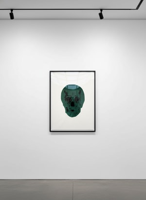 Damien Hirst - The Dead Racing Green/Raven Black Skull