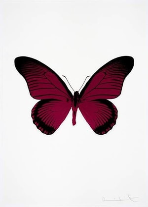 Damien Hirst - The Souls IV (Fuchsia Pink - Raven Black)