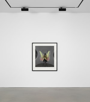 Damien Hirst - The Souls on Jacob's Ladder Take Their Flight (Large Red / Green Butterfly)