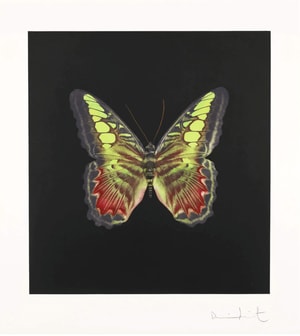 Damien Hirst - The Souls on Jacob's Ladder Take Their Flight (Large Red / Green Butterfly)