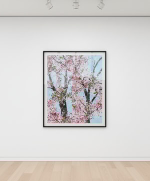 Damien Hirst - The Virtues Honesty H9-5