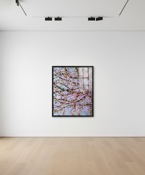 Damien Hirst - The Virtues Loyalty H9-7