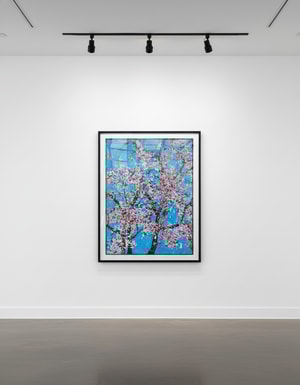 Damien Hirst - The Virtues Politeness H9-4