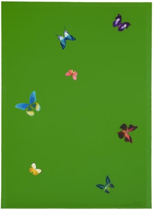 Damien Hirst - The Wonder Of You (Your Taste)