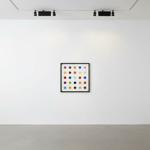 Damien Hirst - THR-Ser