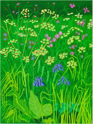 David Hockney - 17th of May From 'The Arrival of Spring in Woldgate, East Yorkshire