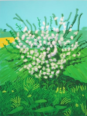 David Hockney - 30 April From 'The Arrival of Spring in Woldgate'