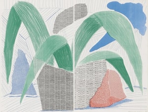 David Hockney - Green, Grey and Blue Plant
