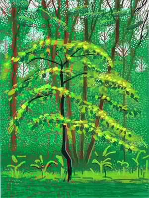 David Hockney - May 19, The Arrival of Spring in Woldgate, East Yorkshire