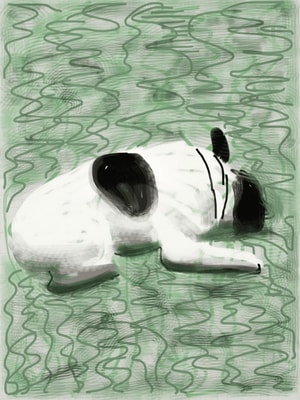 David Hockney - Moujik