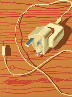 David Hockney - Plug