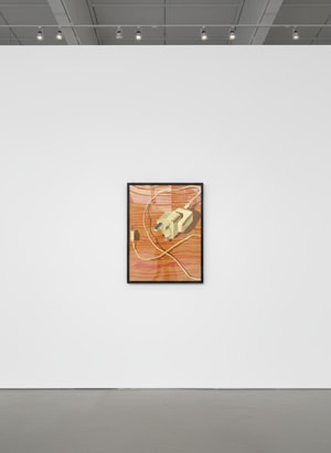 David Hockney - Plug