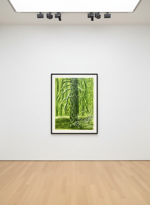 David Hockney - The Yosemite Suite No. 18