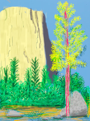 David Hockney - The Yosemite Suite No. 22
