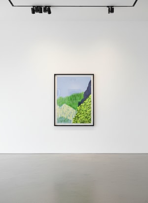 David Hockney - The Yosemite Suite No. 3