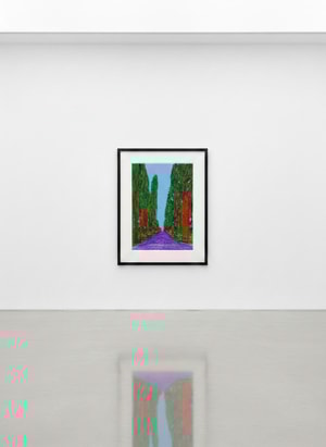 David Hockney - The Yosemite Suite No. 5