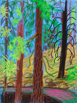 David Hockney - The Yosemite Suite No. 6
