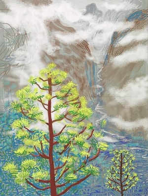 David Hockney - Yosemite I, October 5th 2011