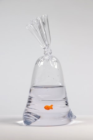 Dylan Martinez - Limited Edition Goldfish Cracker Water Bag (205)