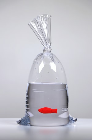 Dylan Martinez - Swedish Fish No 105