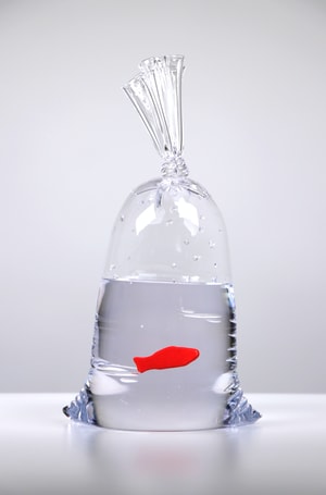 Dylan Martinez - Swedish Fish No. 92