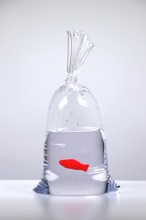 Dylan Martinez - Swedish Fish No. 92