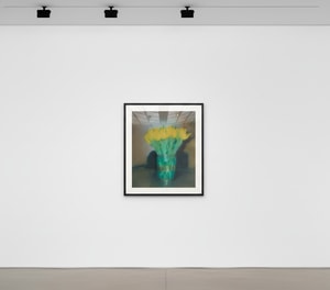Gerhard Richter - Tulpen P17