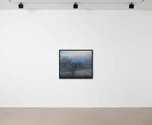 Gregory Thielker - Sweetly