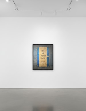 Harland Miller - The Me I Never Knew