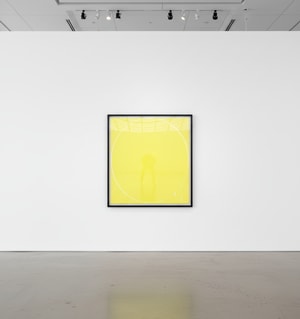 Ian Davenport - Yellow, Lemon Yellow, Yellow