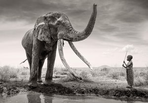 James Lewin - The Boy and the Gentle Giant