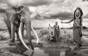 James Lewin - The Land That Made Us One