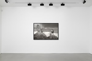 James Lewin - The Warriors