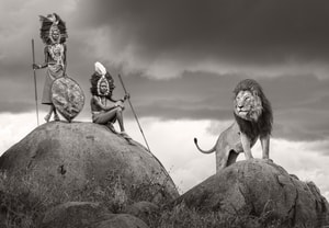 James Lewin - The Warriors