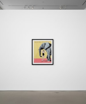 Javier Mayoral - Remembering Every Elephant