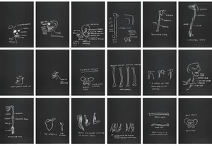 Jean-Michel Basquiat - Anatomy