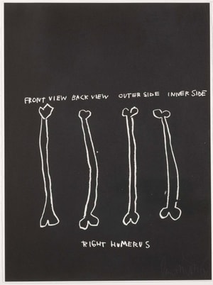 Jean-Michel Basquiat - Right Humerus, from Anatomy