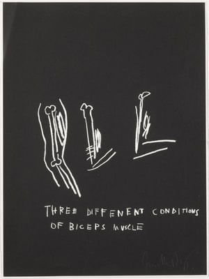 Jean-Michel Basquiat - Three Different Conditions of Biceps Muscle, from Anatomy