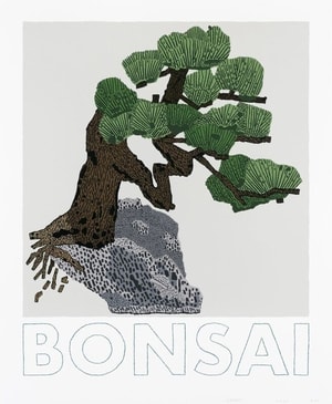 Jonas Wood - Bonsai