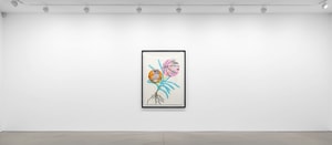 Jonas Wood - Double Basketball Orchid 2 (set of three)