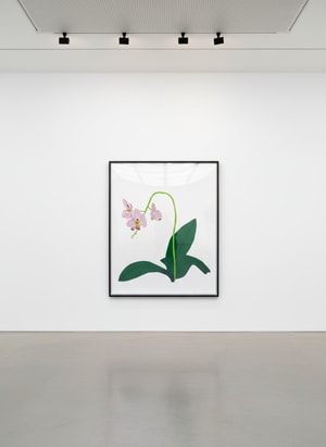 Jonas Wood - Single Clipping