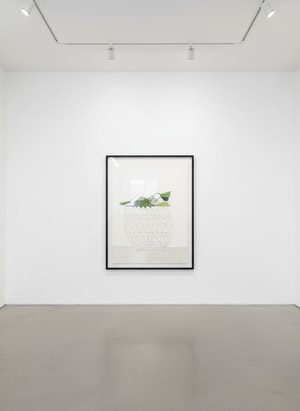 Jonas Wood - Trial Proof V, Untitled