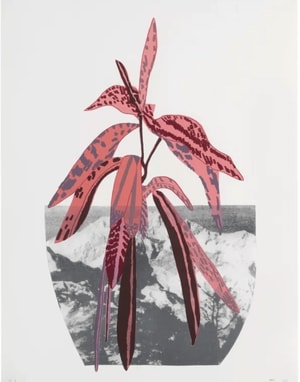 Jonas Wood - Untitled (pink)