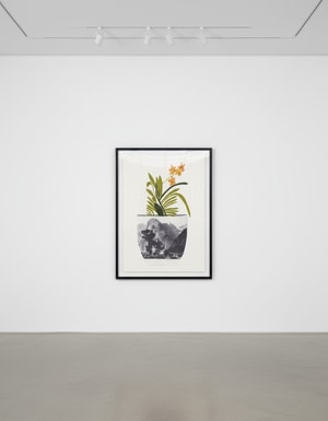 Jonas Wood - Untitled (Yellow Orchid Pot)