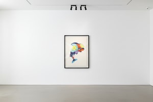 KAWS - Piranhas While You Were Sleeping