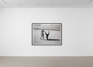 Michel Comte - Beauty and the Beast (Monkey IV)