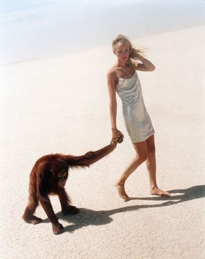 Michel Comte - Beauty and the Beast (Orangutan III)