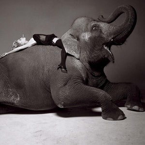 Michel Comte - Daryl Hannah